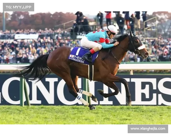 德国马术选手荣登国际三项赛冠军殿堂