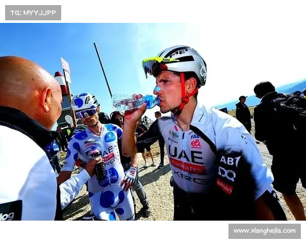 意大利车手横扫环法赛场，夺得总冠军