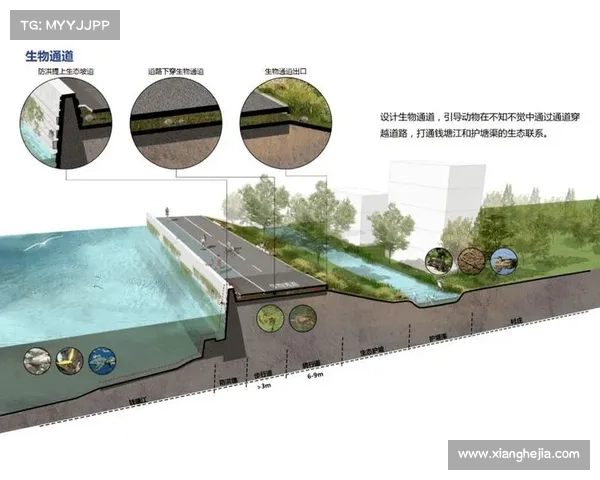 打造世界级青训营的系统化建设与实施步骤全指南